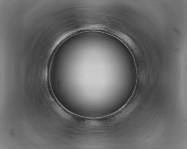 X0000112521420200908171345