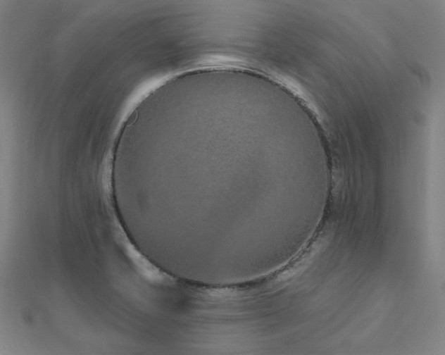X0000112521421200908171345