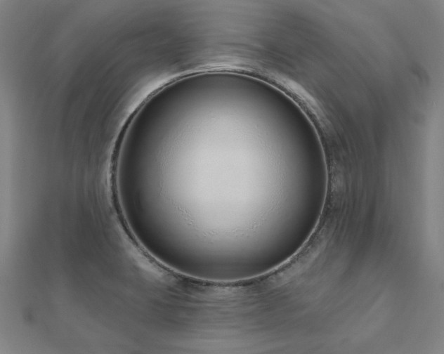 X0000112521423200908171345