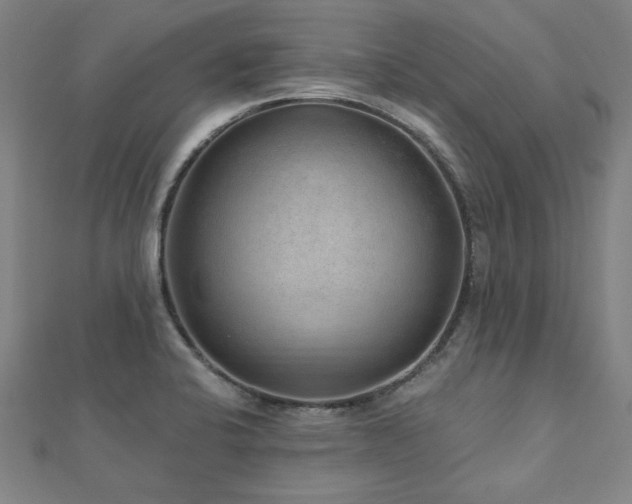 X0000112521424200908171345