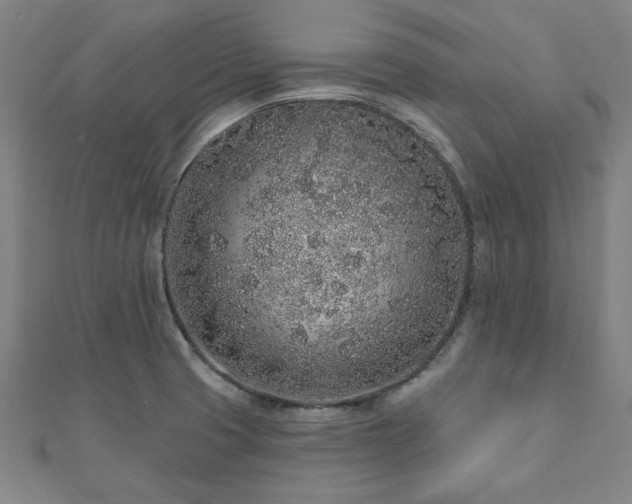 X0000112521425200908171345