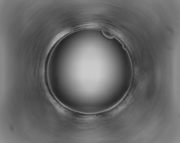 X0000112521426200908171345