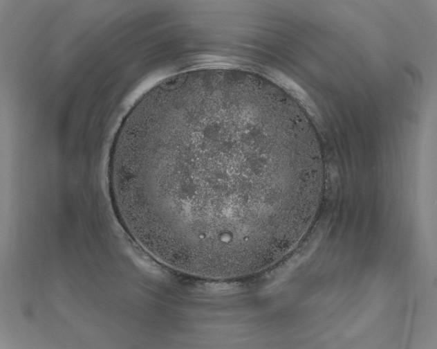 X0000112521427200908171345