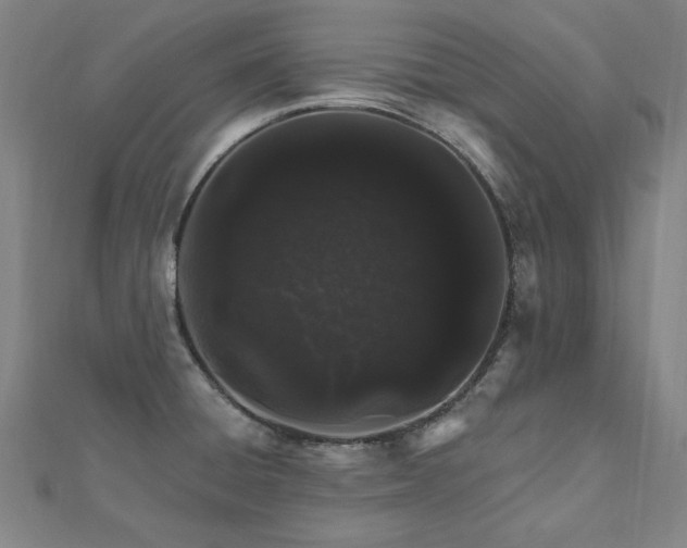 X0000112521428200908171345
