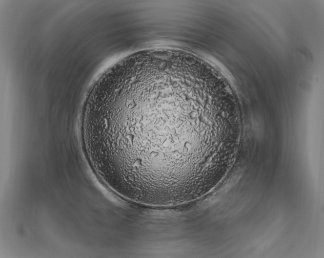 X0000112521429200908171345