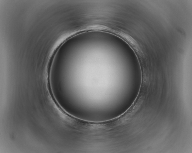 X0000112521430200908171345
