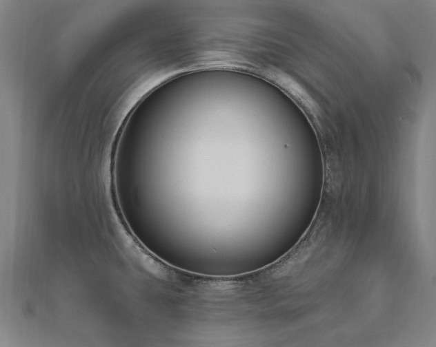 X0000112521431200908171345
