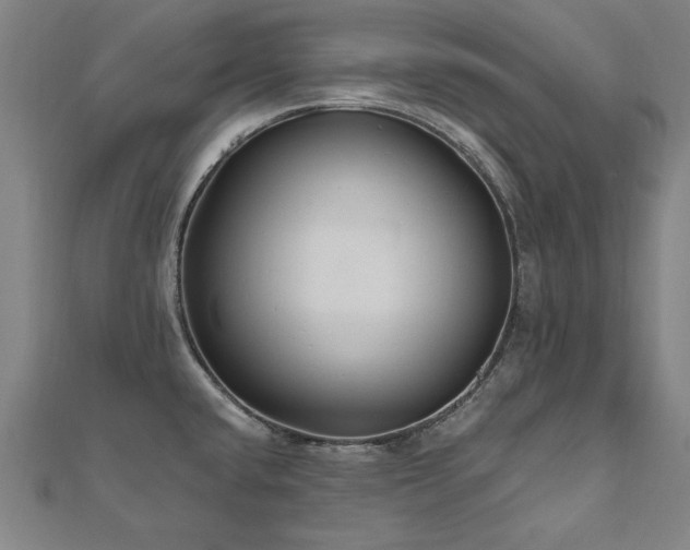 X0000112521432200908171345