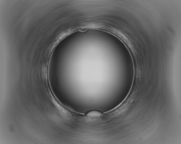 X0000112521433200908171345