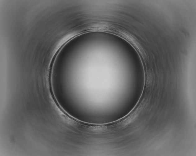 X0000112521434200908171345