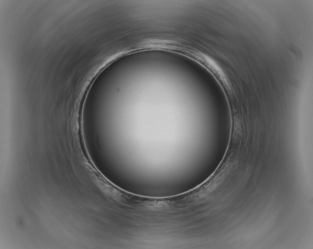 X0000112521435200908171345