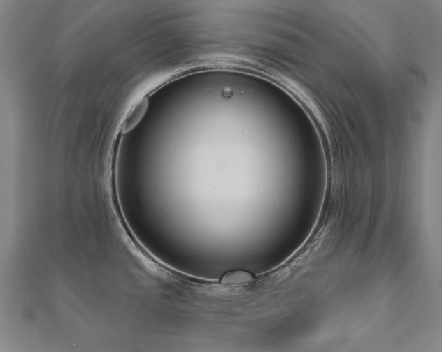 X0000112521437200908171345