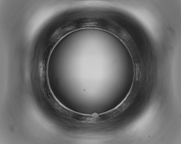 X0000112521438200908171345