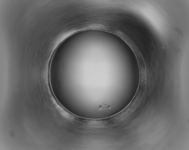 X0000112521439200908171345
