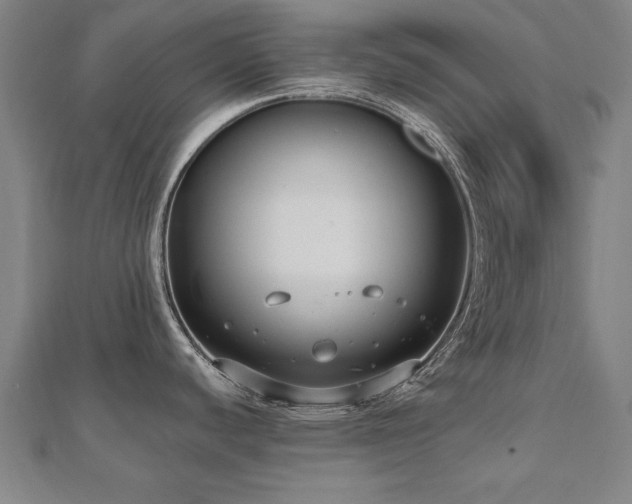 X0000112521440200908171345