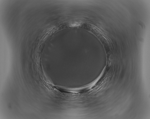 X0000112521441200908171344