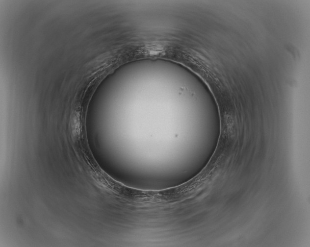 X0000112521442200908171344