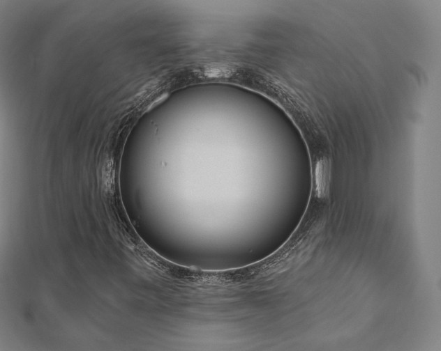 X0000112521443200908171344