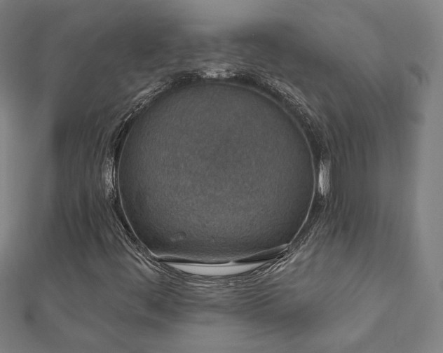 X0000112521444200908171344