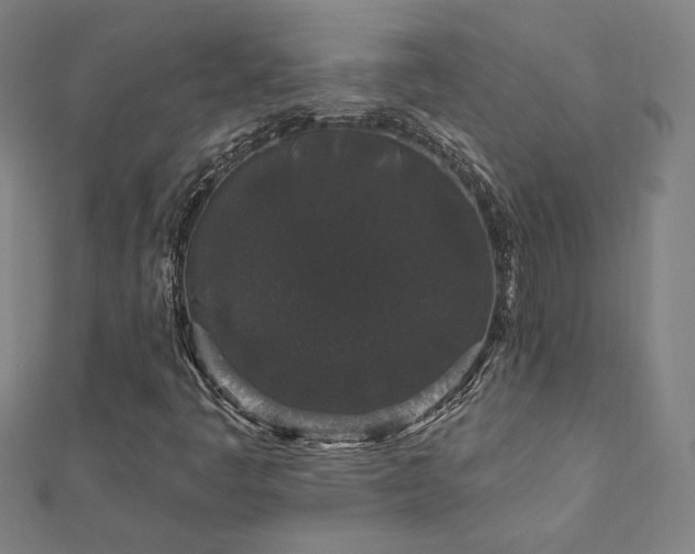 X0000112521445200908171344