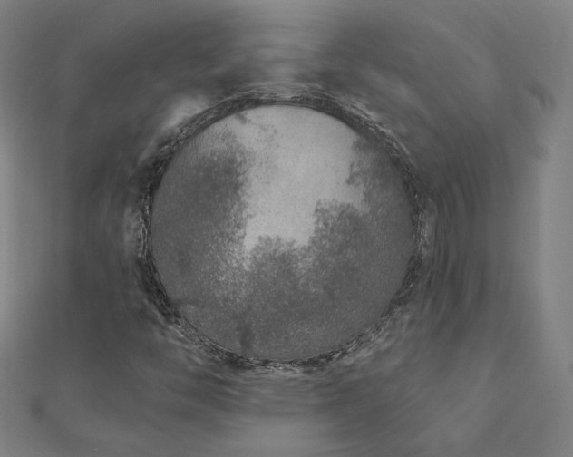 X0000112521446200908171344