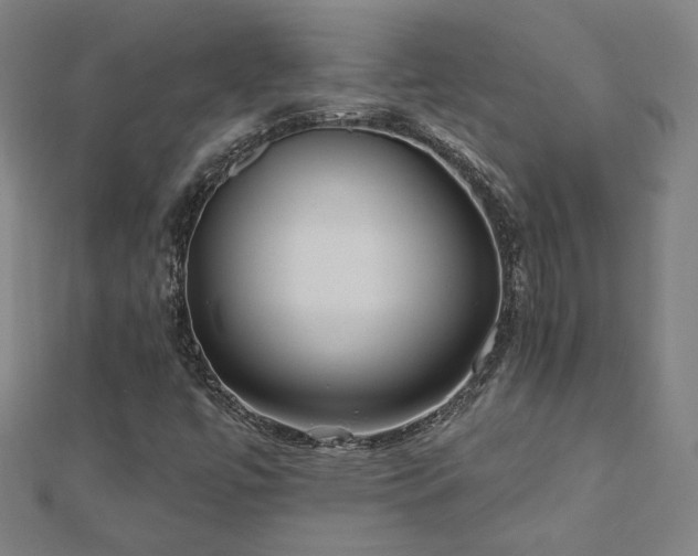 X0000112521447200908171344