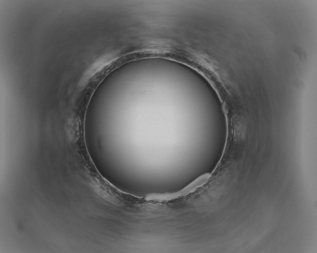 X0000112521448200908171344