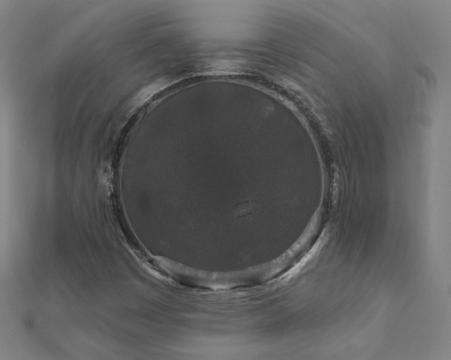 X0000112521449200908171344