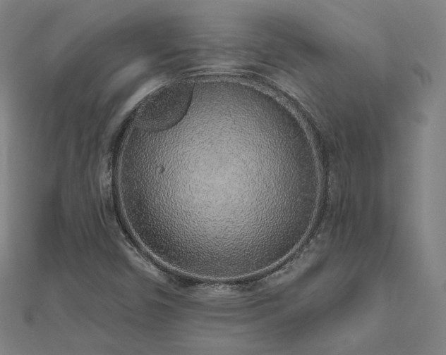 X0000112521450200908171344