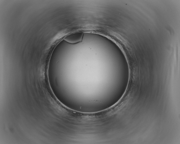 X0000112521451200908171344