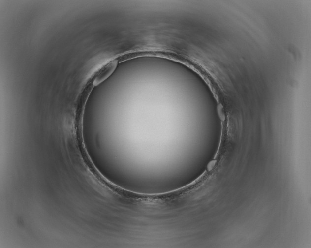 X0000112521452200908171344