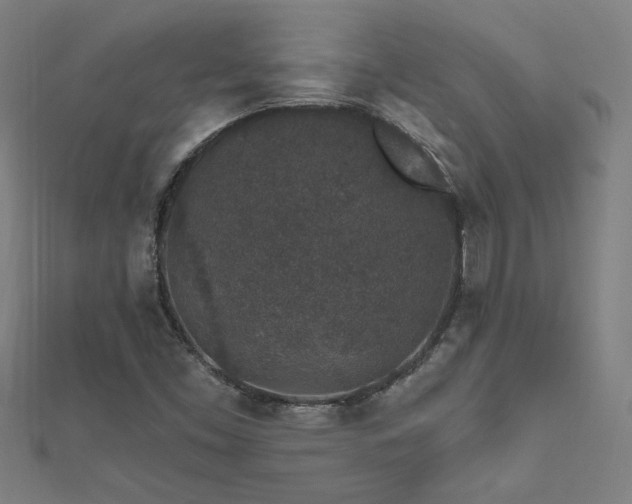X0000112521453200908171344
