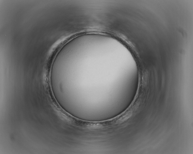 X0000112521454200908171344