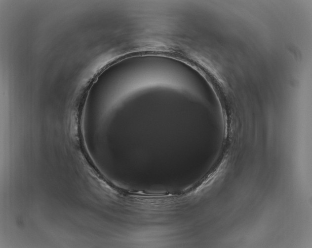 X0000112521455200908171344