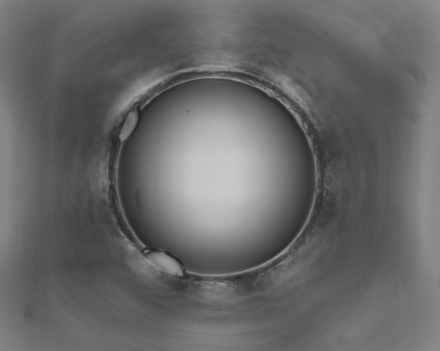 X0000112521456200908171344