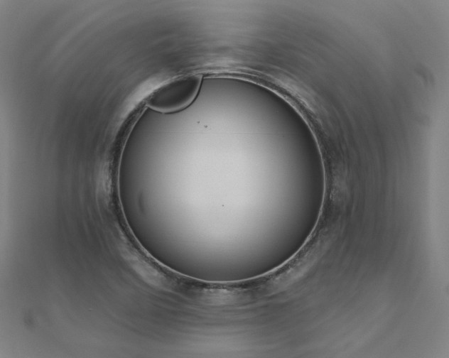 X0000112521458200908171344