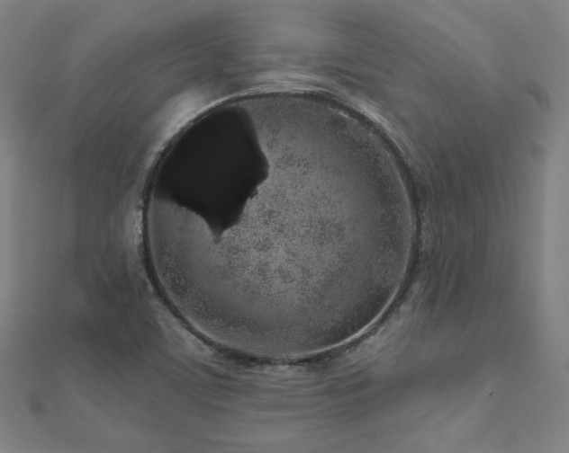 X0000112521459200908171344