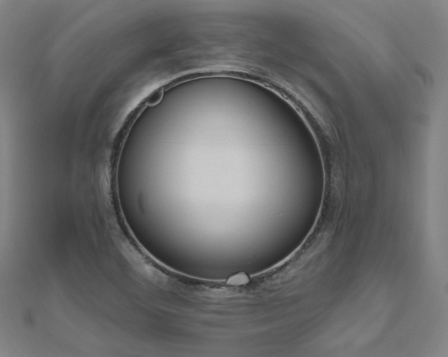 X0000112521460200908171344