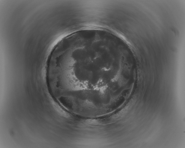 X0000112521463200908171344