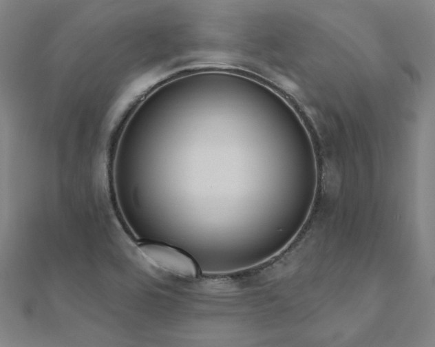 X0000112521464200908171344