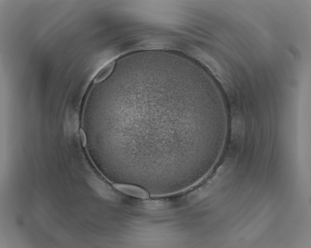 X0000112521465200908171344