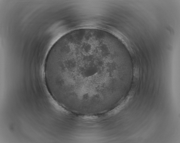 X0000112521466200908171344