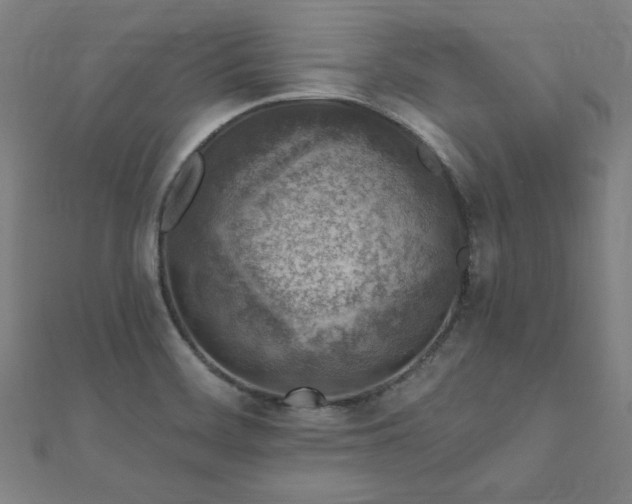 X0000112521468200908171344
