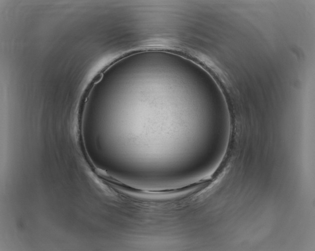 X0000112521469200908171344