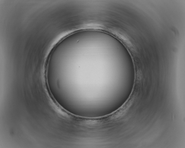 X0000112521470200908171344