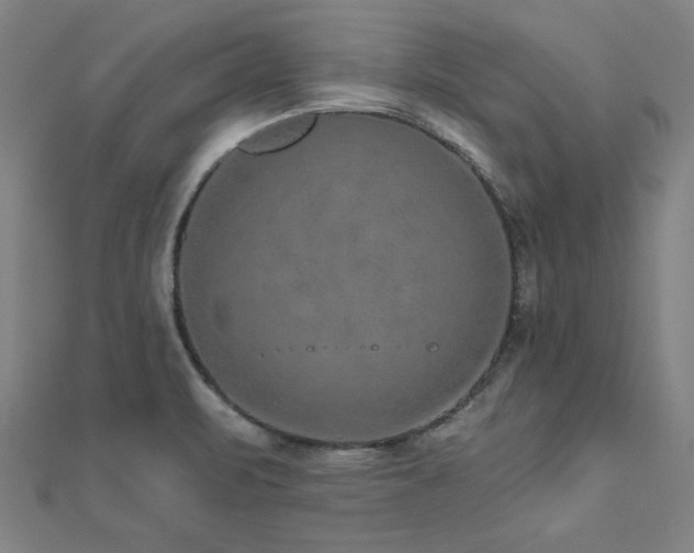 X0000112521471200908171344