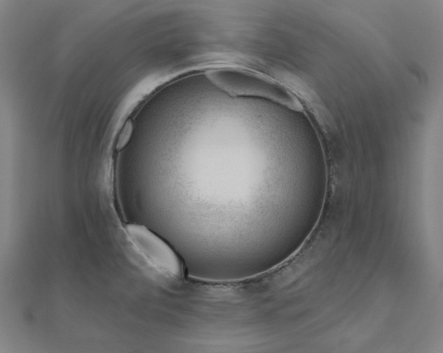 X0000112521472200908171344