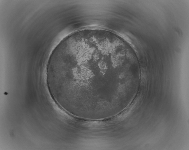 X0000112521474200908171344