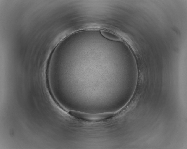 X0000112521475200908171344