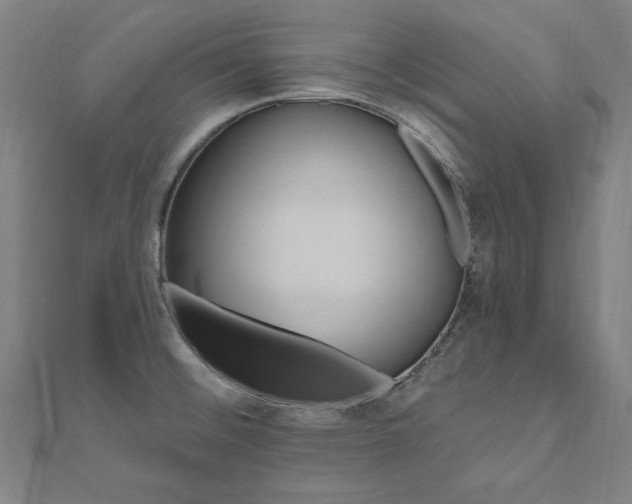 X0000112521476200908171344